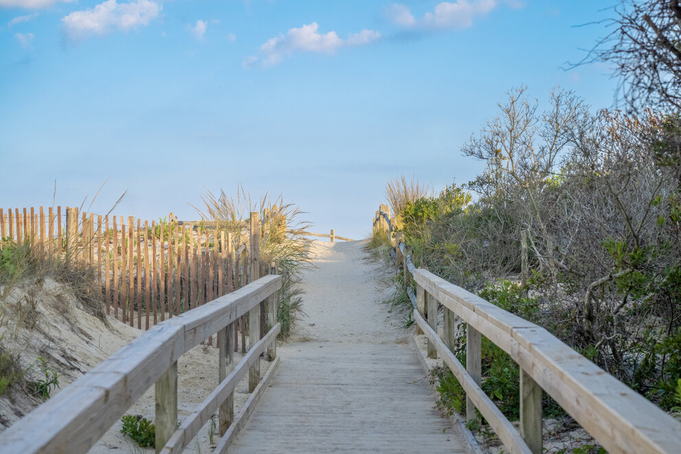 a wooden walkway with a fence and bushes