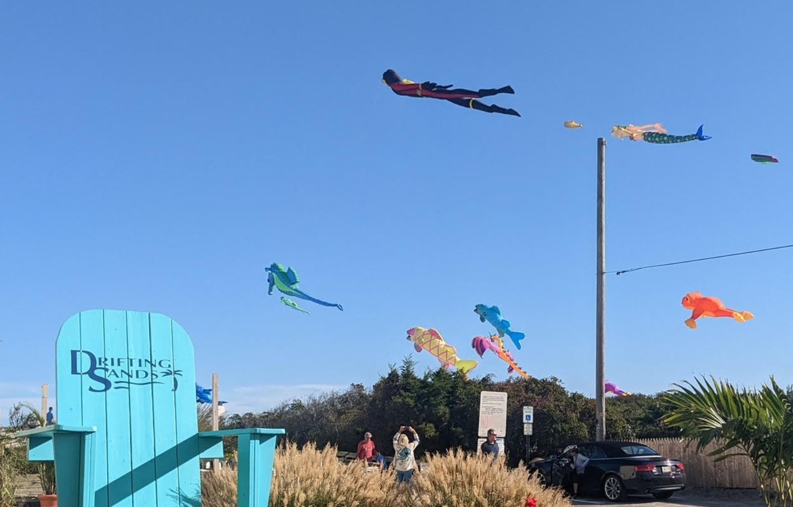 Colorful kites flying over beach near Long Beach Island hotels | Drifting Sands LBI
