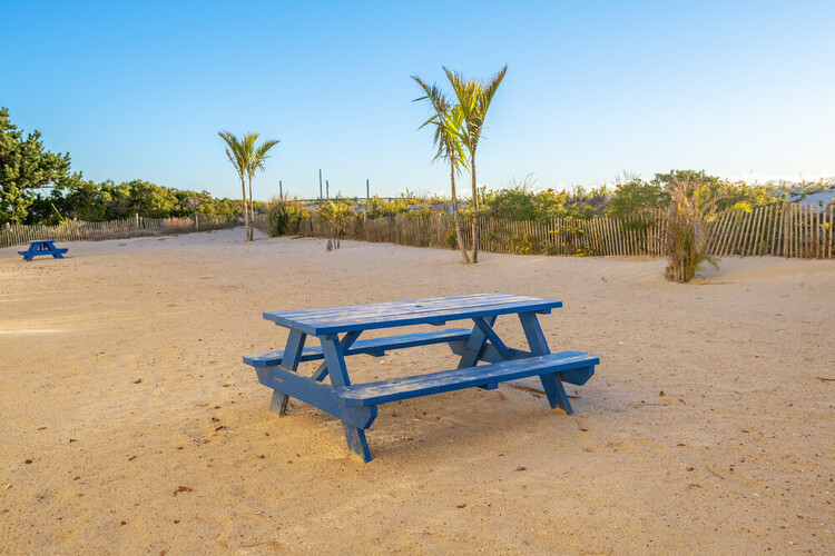 Oceanfront picnic table near LBI pet friendly hotels | Drifting Sands LBI